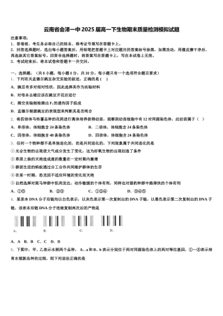 云南省会泽一中2025届高一下生物期末质量检测模拟试题含解析