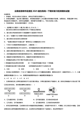 云南省昆明市官渡区2025届生物高一下期末复习检测模拟试题含解析