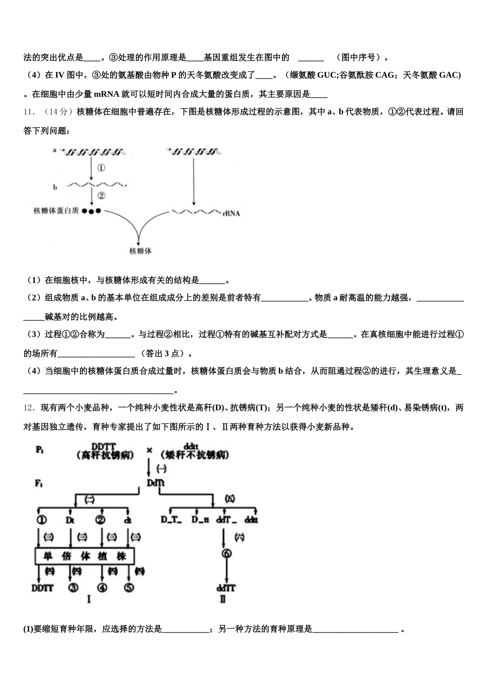 云南省隆阳区二中2025年生物高一第二学期期末监测试题含解析_第3页