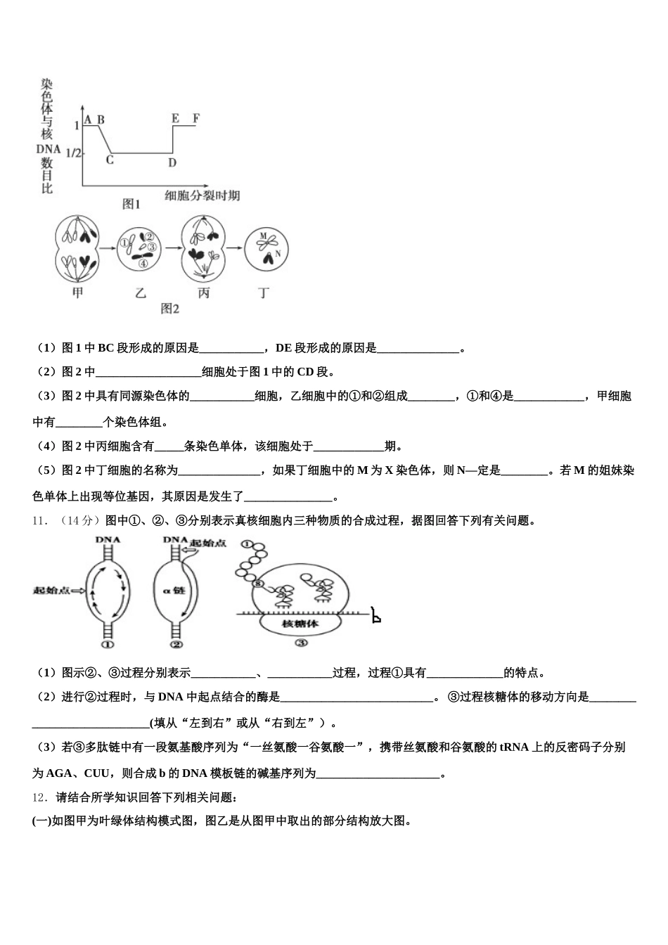 2025年云南省楚雄市古城二中高一下生物期末教学质量检测试题含解析_第3页