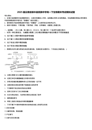 2025届云南省禄丰县民族中学高一下生物期末考试模拟试题含解析