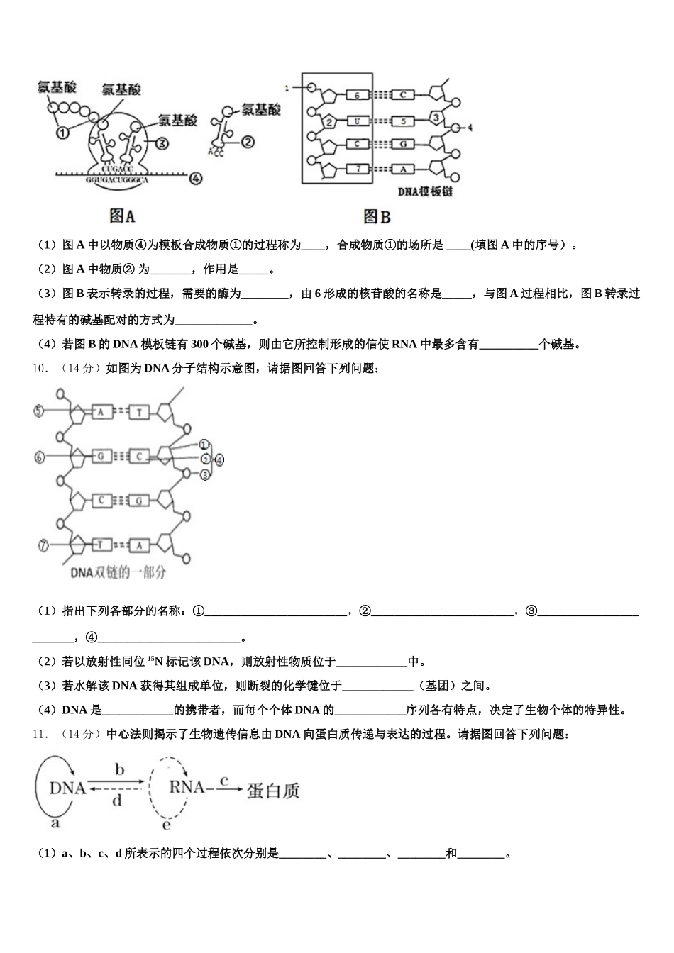 2024-2025学年云南省西畴县一中生物高一下期末考试模拟试题含解析_第3页