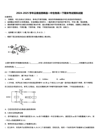 2024-2025学年云南省西畴县一中生物高一下期末考试模拟试题含解析