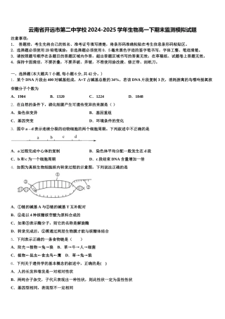 云南省开远市第二中学校2024-2025学年生物高一下期末监测模拟试题含解析