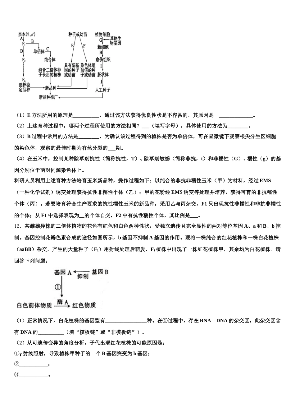 2025年云南省曲靖市宜良县第一中学生物高一第二学期期末联考模拟试题含解析_第3页