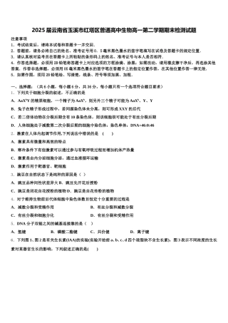 2025届云南省玉溪市红塔区普通高中生物高一第二学期期末检测试题含解析