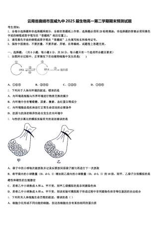 云南省曲靖市宣威九中2025届生物高一第二学期期末预测试题含解析