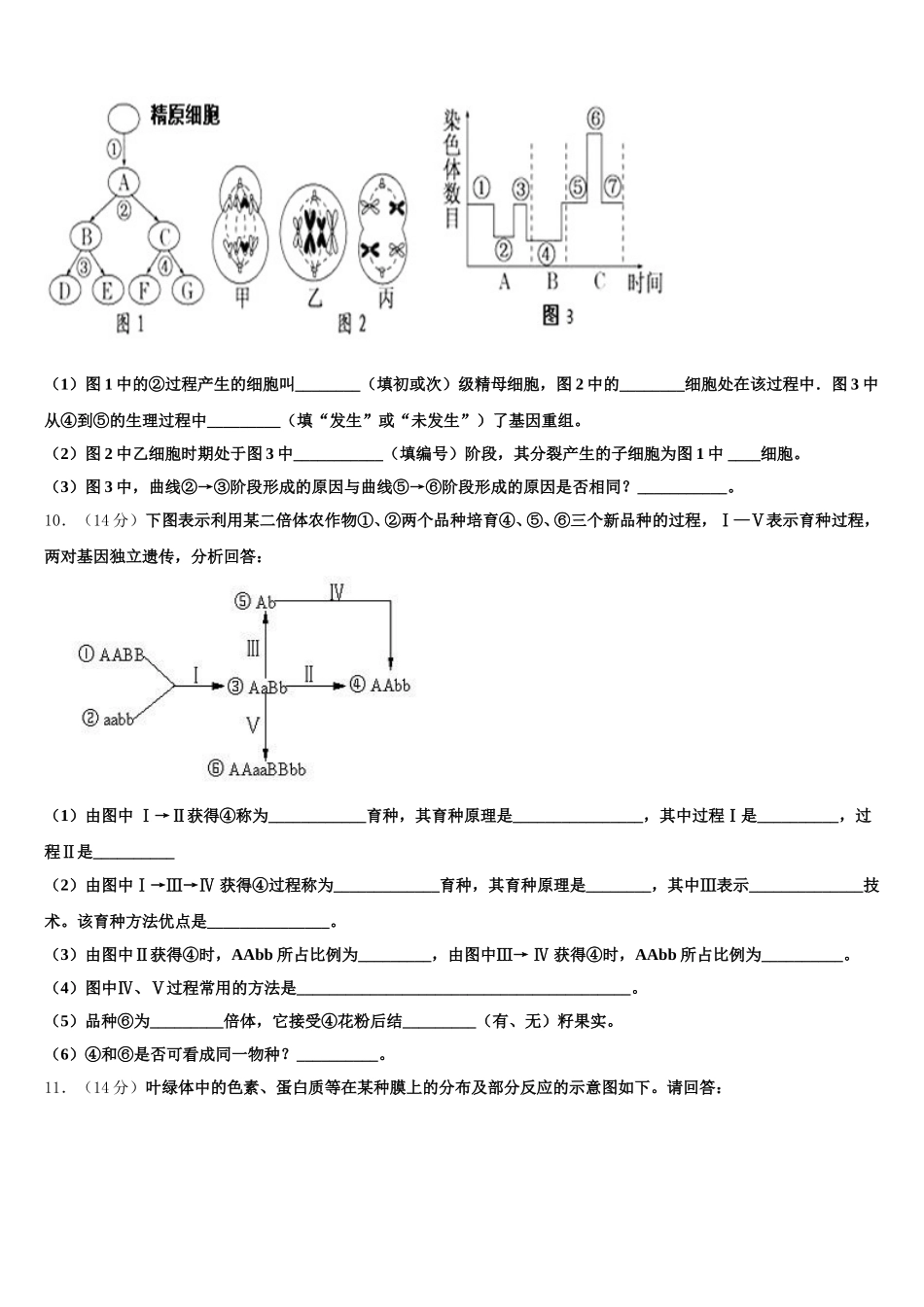 2025年云南玉溪一中生物高一下期末复习检测试题含解析_第3页