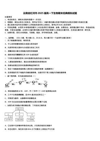 云南省红河市2025届高一下生物期末经典模拟试题含解析
