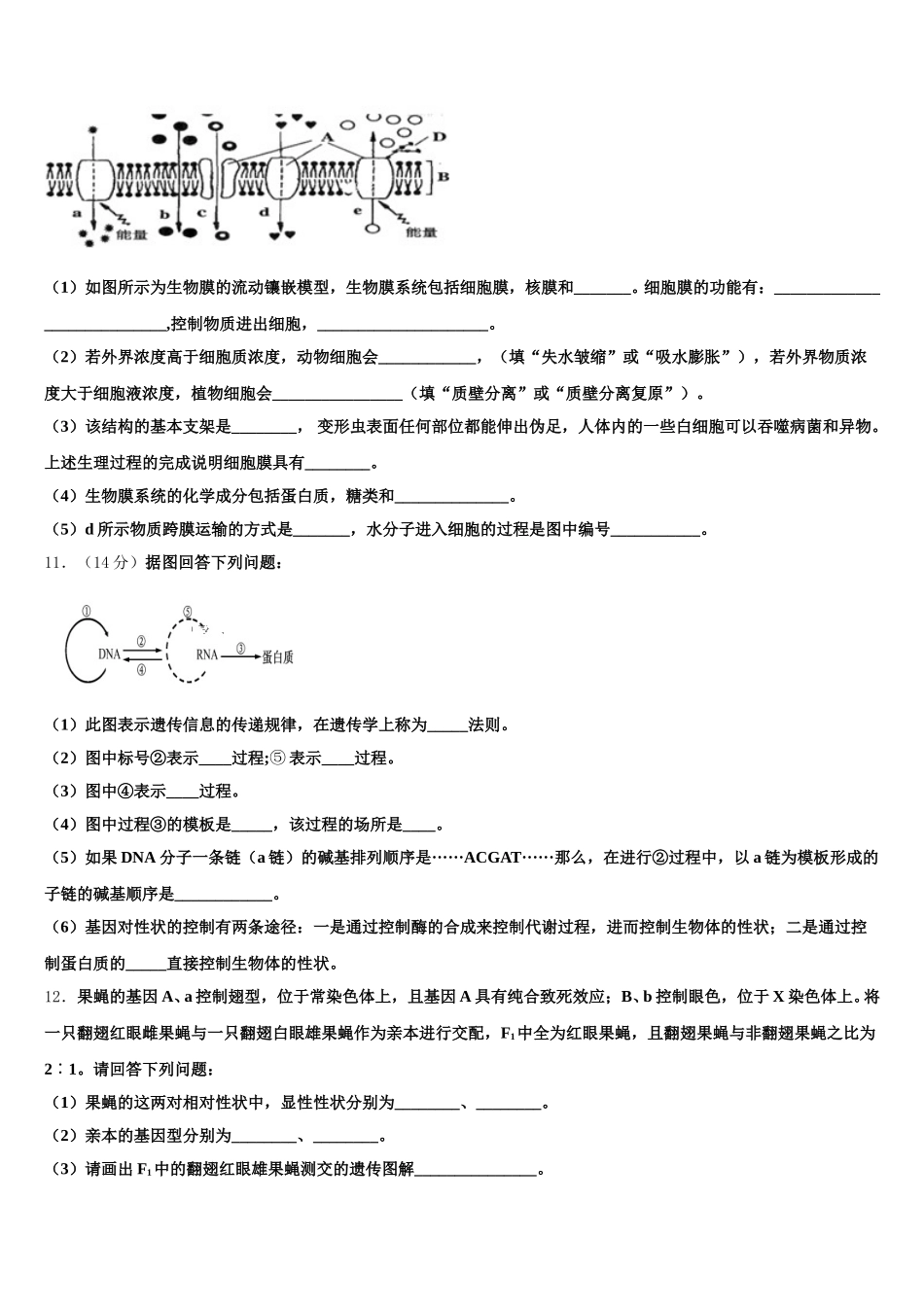 2025届云南省西双版纳州勐海县一中生物高一下期末调研试题含解析_第3页