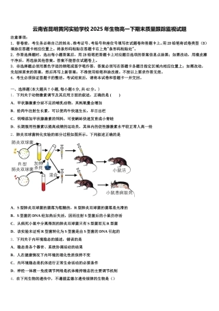 云南省昆明黄冈实验学校2025年生物高一下期末质量跟踪监视试题含解析