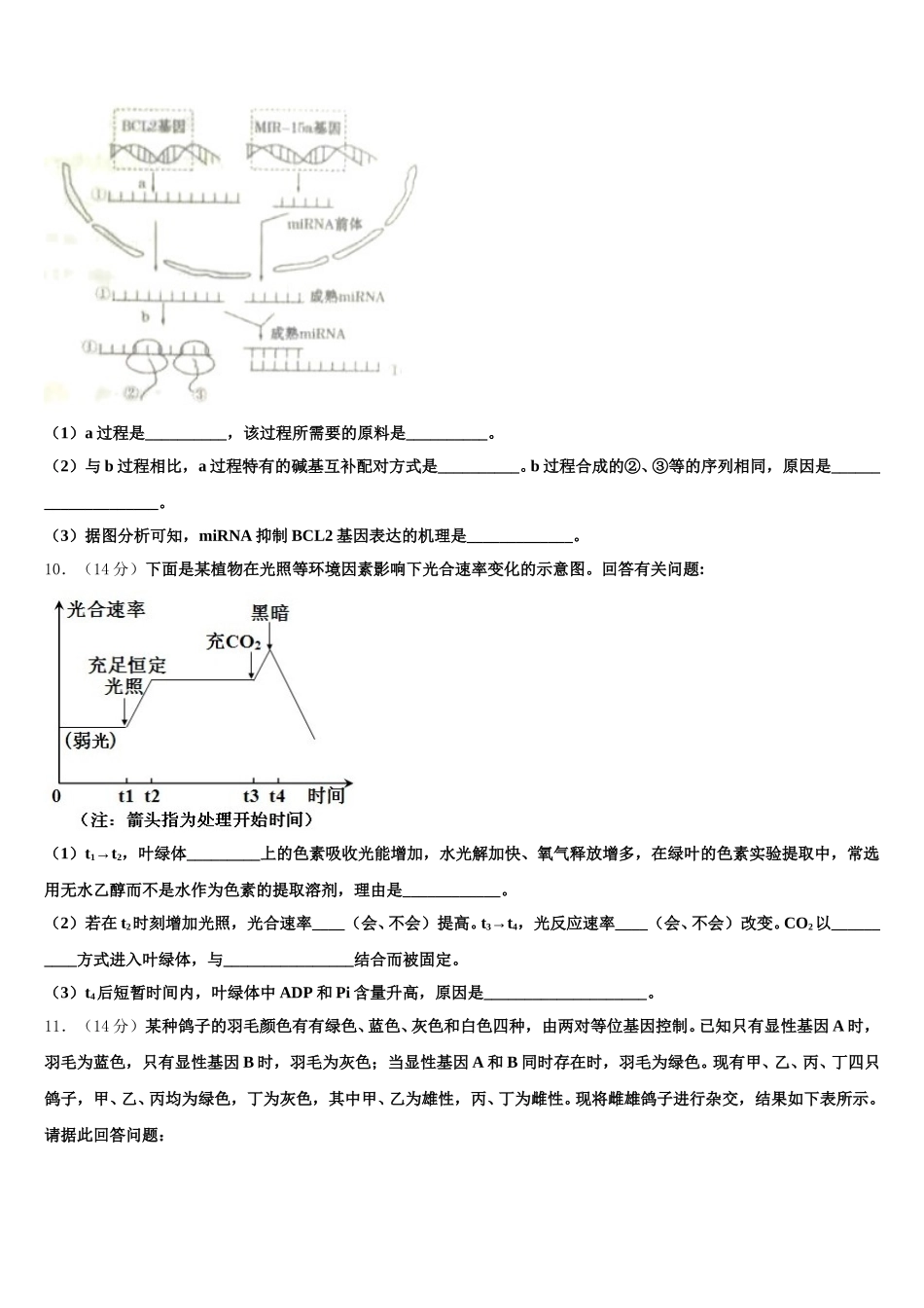 2024-2025学年云南省澄江县第二中学高一生物第二学期期末检测模拟试题含解析_第3页