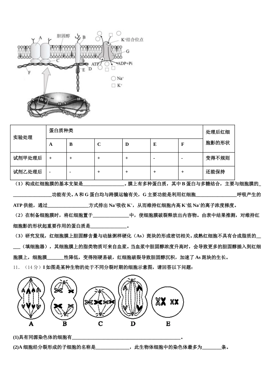 云南省玉溪市澄江县一中2025届生物高一第二学期期末综合测试模拟试题含解析_第3页