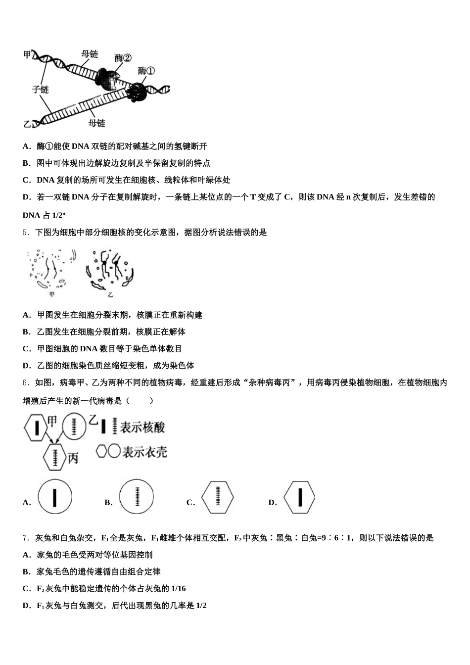 2025年云南省江川一中生物高一下期末预测试题含解析_第2页