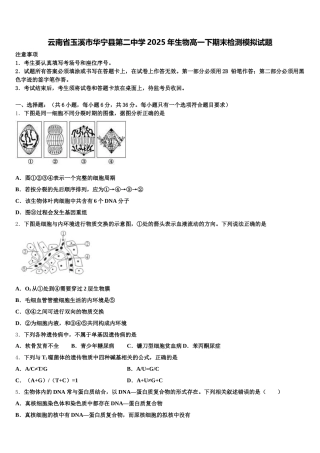 云南省玉溪市华宁县第二中学2025年生物高一下期末检测模拟试题含解析