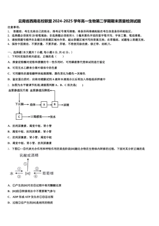 云南省西南名校联盟2024-2025学年高一生物第二学期期末质量检测试题含解析