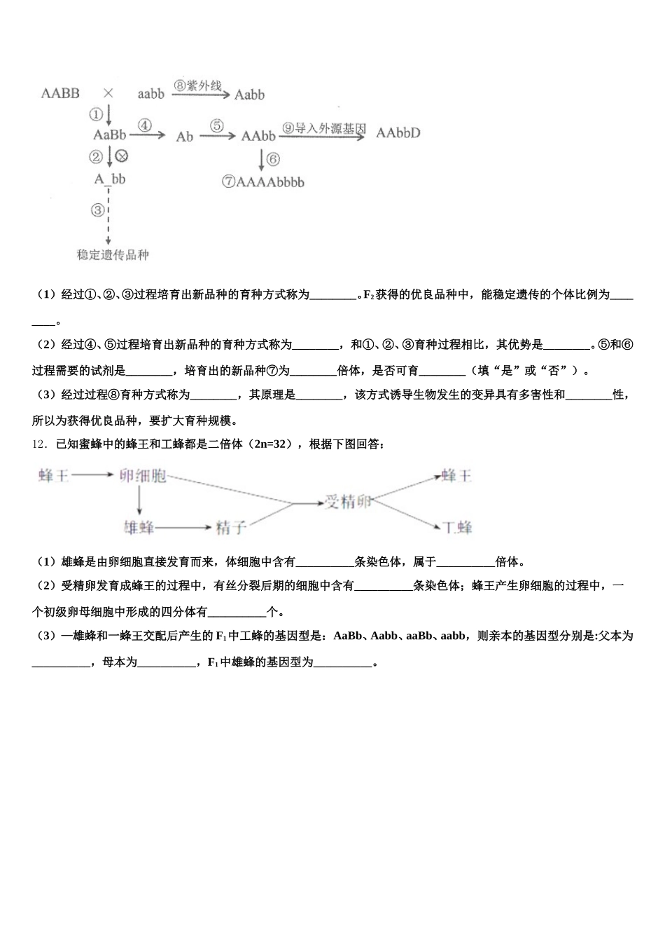 云南省玉溪市元江民中2025届生物高一下期末经典试题含解析_第3页