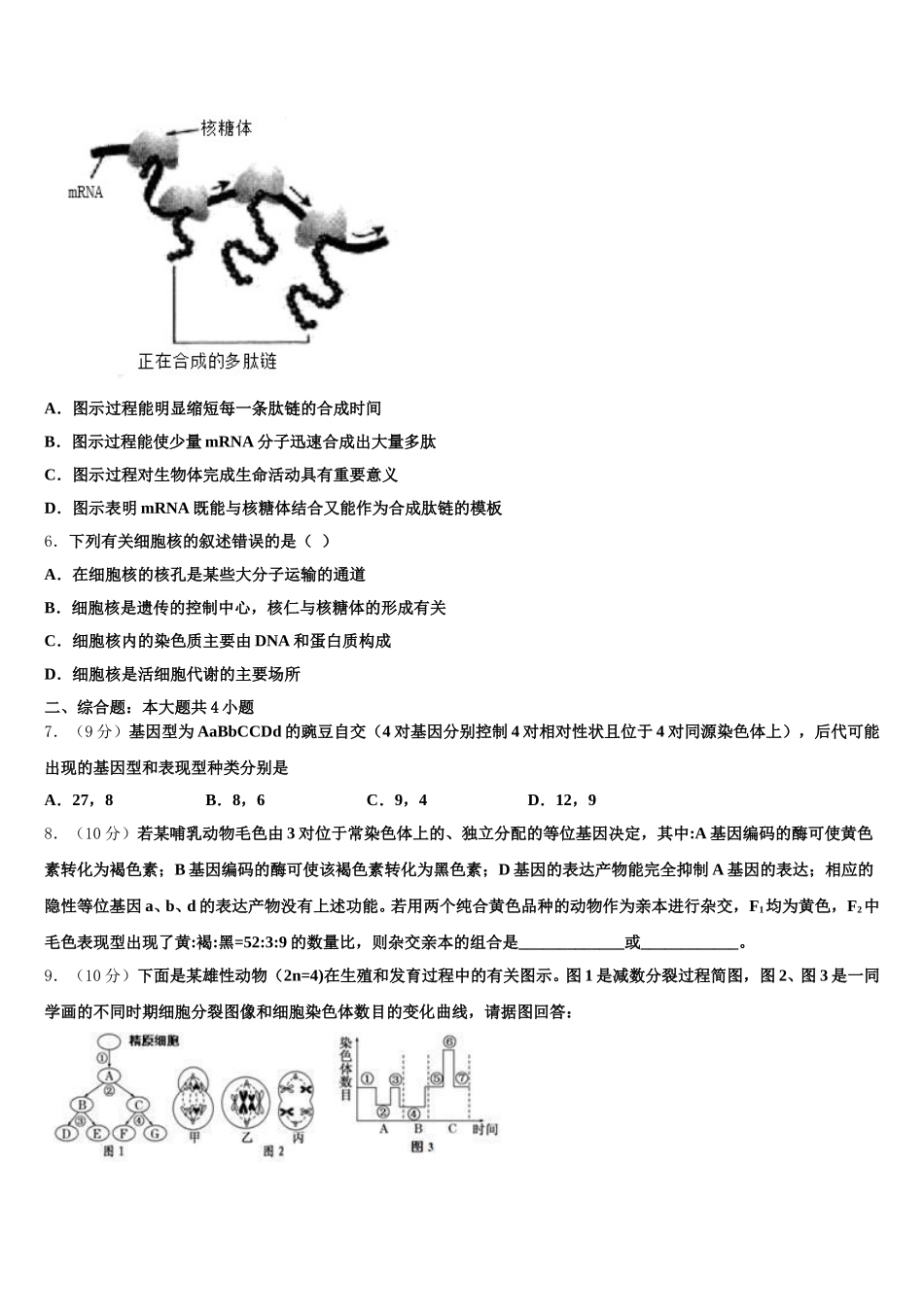 2025届云南省南涧县民族中学生物高一下期末预测试题含解析_第2页