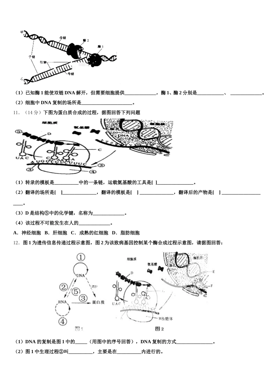 云南省昆明市官渡区2025届高一下生物期末学业质量监测试题含解析_第3页