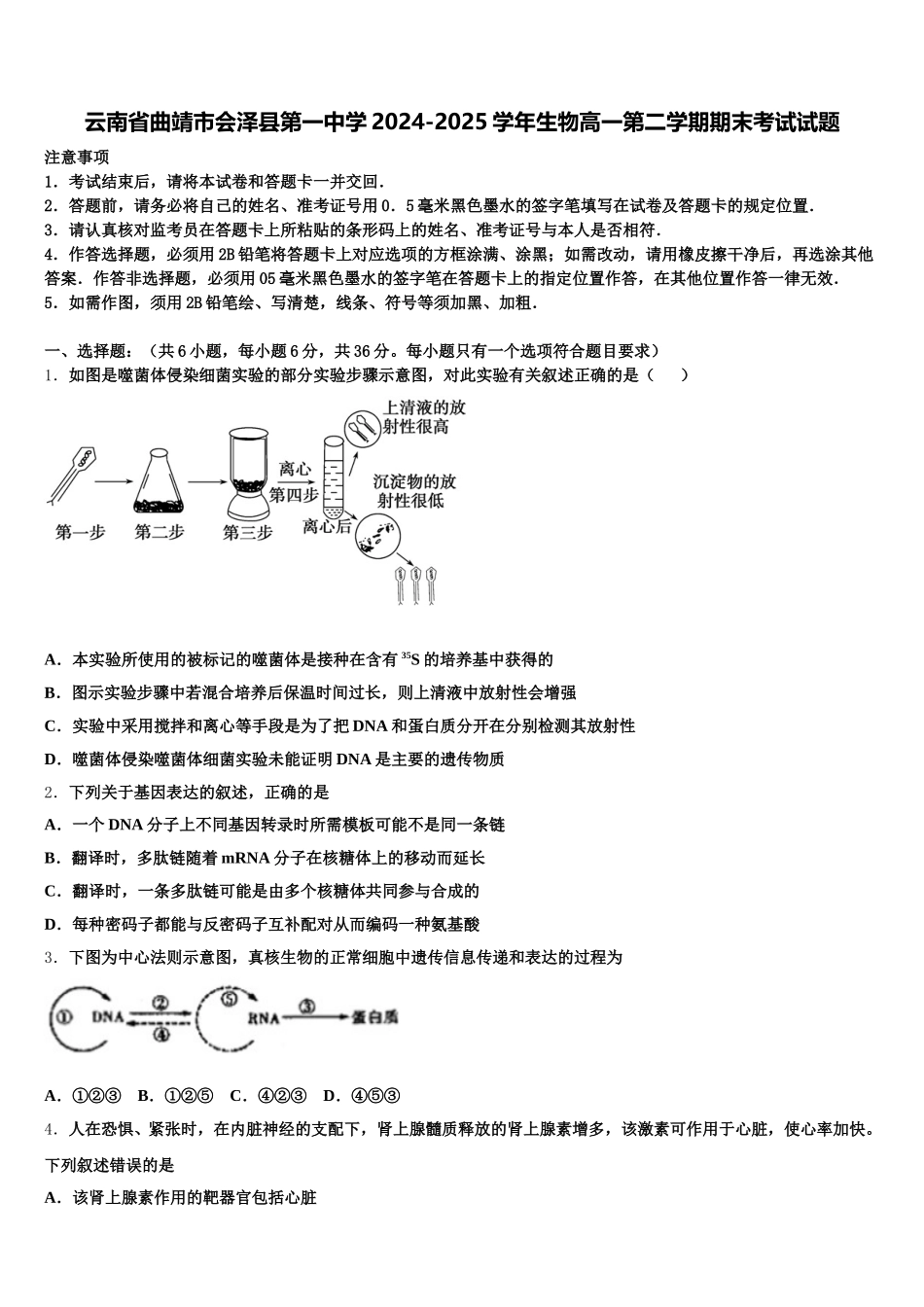 云南省曲靖市会泽县第一中学2024-2025学年生物高一第二学期期末考试试题含解析_第1页
