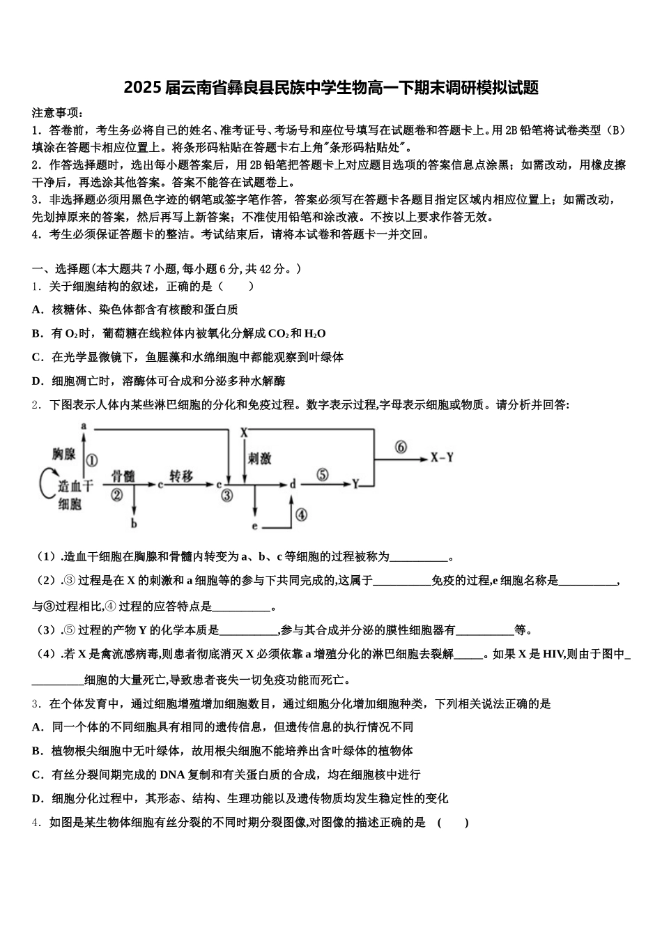2025届云南省彝良县民族中学生物高一下期末调研模拟试题含解析_第1页