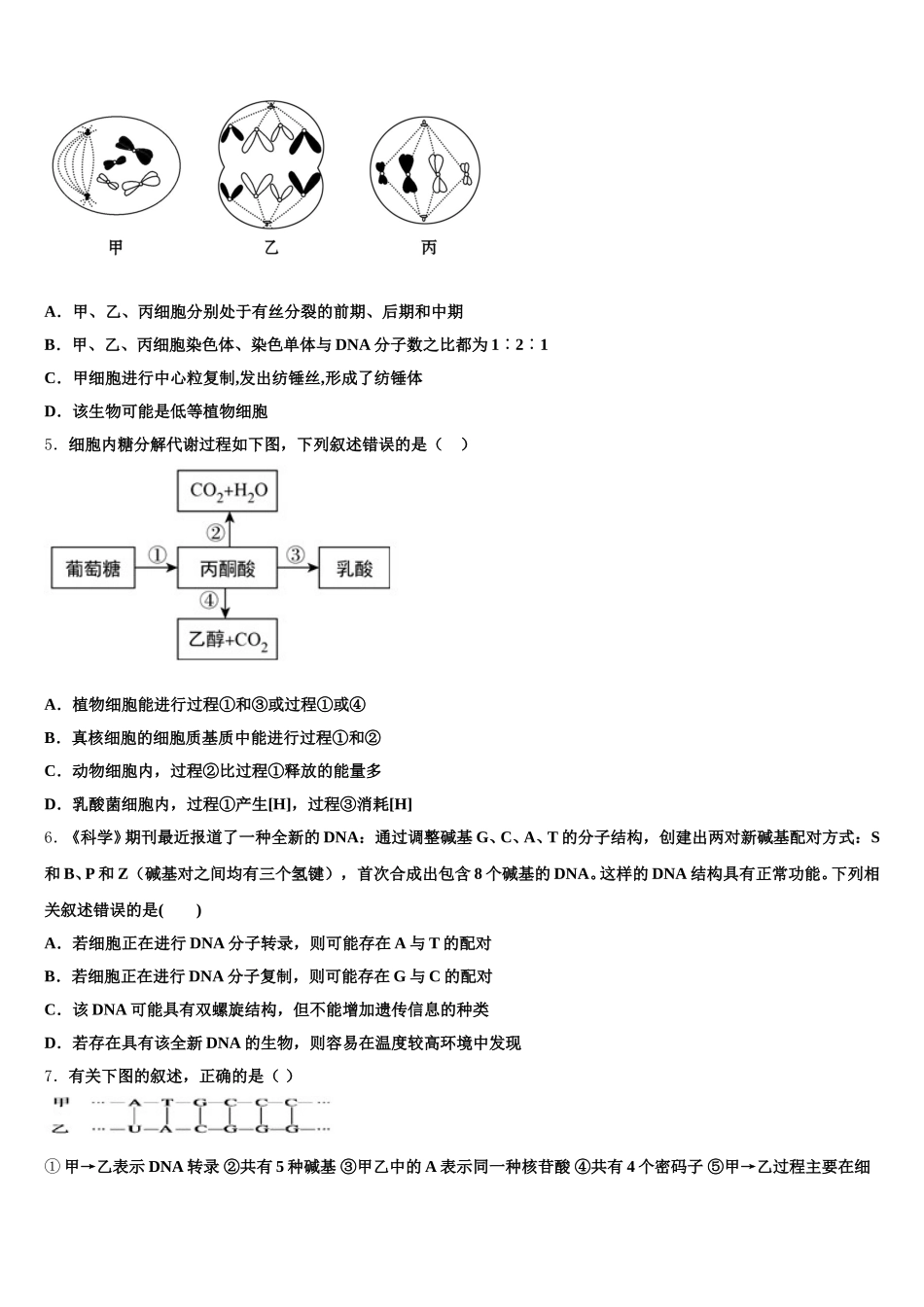 2025届云南省彝良县民族中学生物高一下期末调研模拟试题含解析_第2页