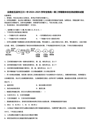云南省玉溪市江川一中2024-2025学年生物高一第二学期期末综合测试模拟试题含解析