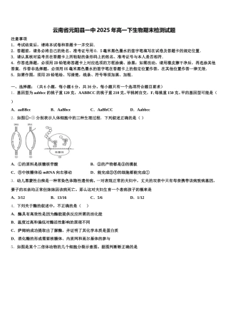 云南省元阳县一中2025年高一下生物期末检测试题含解析