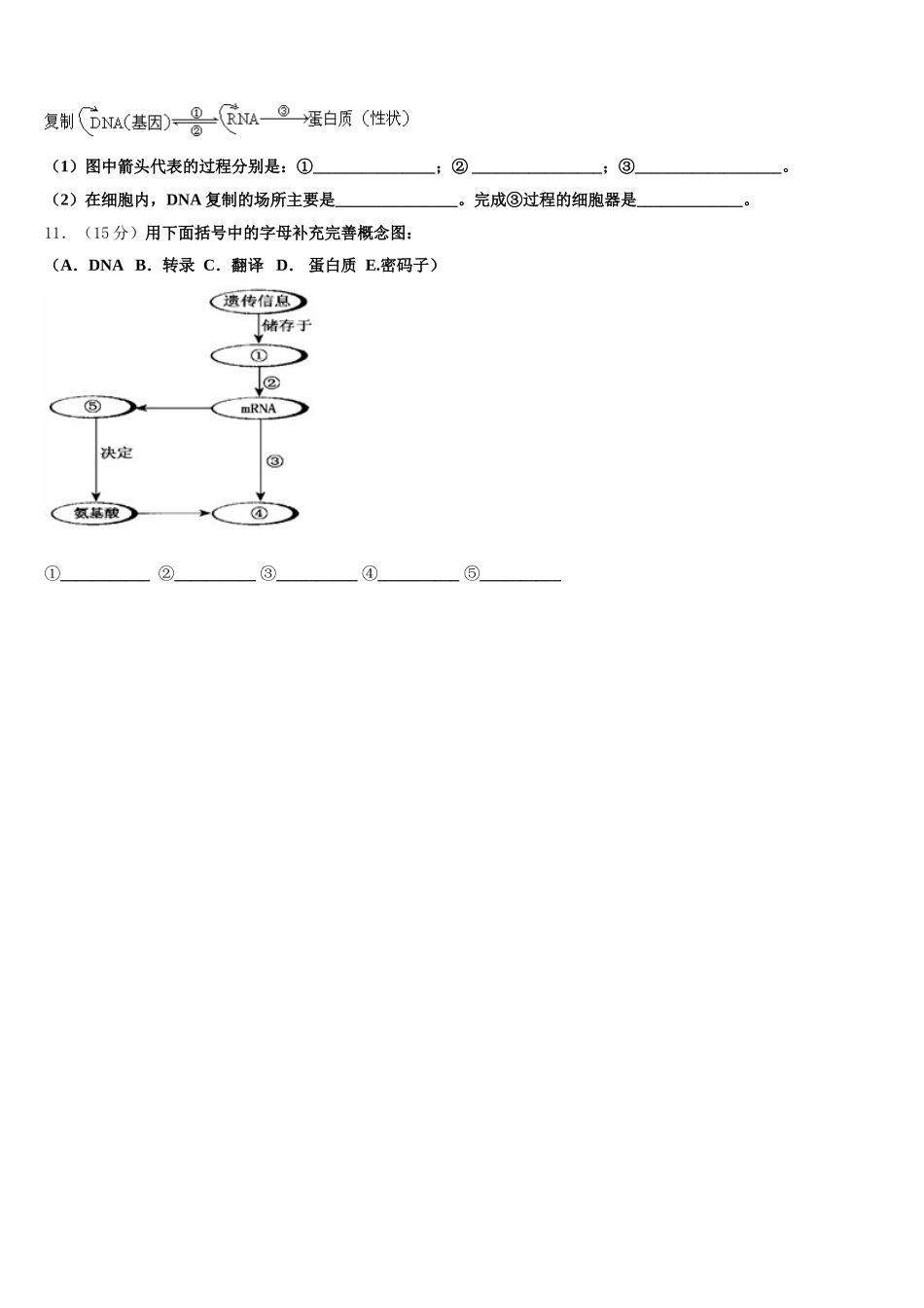 2025届云南省玉溪市江川一中高一下生物期末教学质量检测试题含解析_第3页