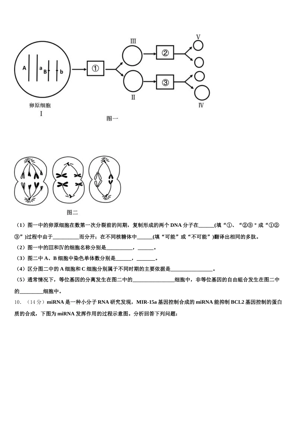 云南省峨山彝族自治县峨山一中2025年高一下生物期末教学质量检测模拟试题含解析_第3页