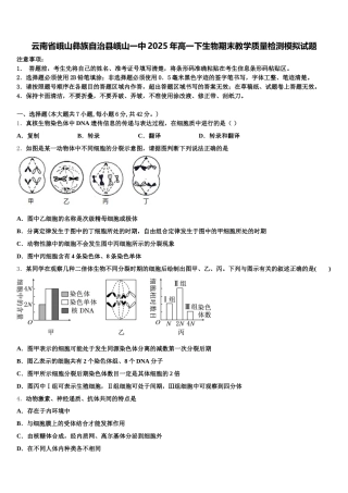 云南省峨山彝族自治县峨山一中2025年高一下生物期末教学质量检测模拟试题含解析