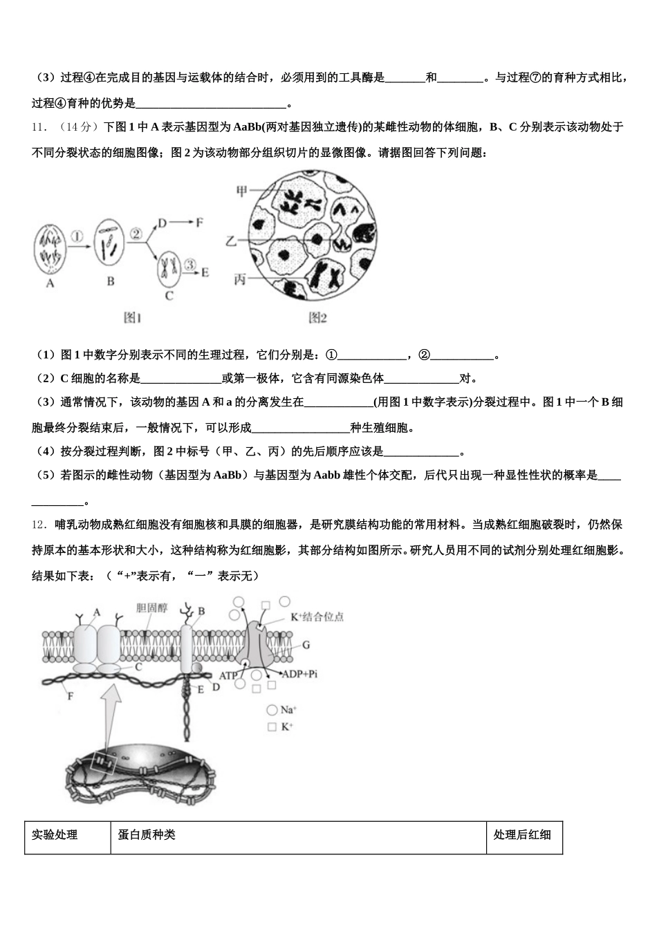 云南省玉溪市新平一中2025届高一下生物期末检测试题含解析_第3页