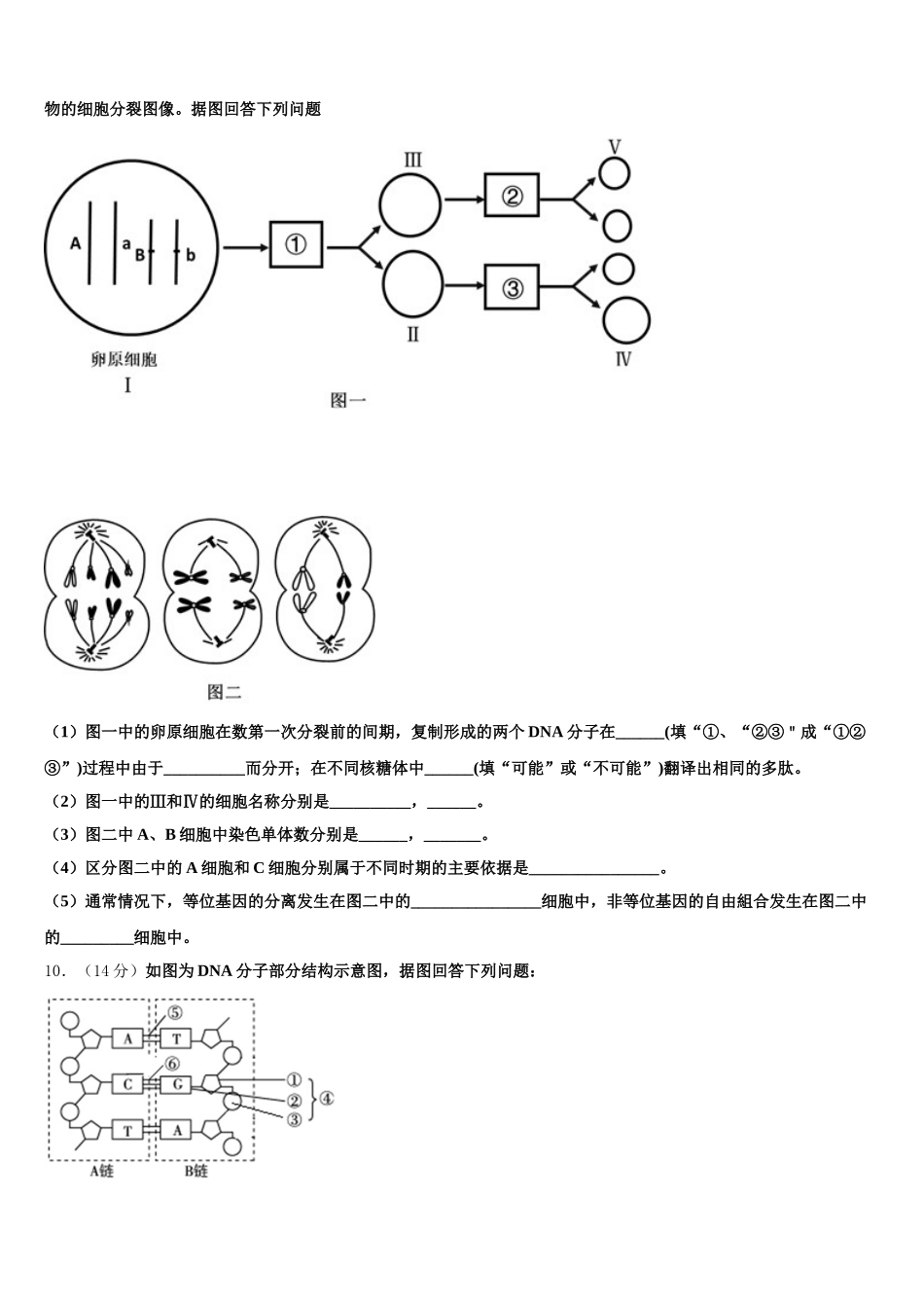 2024-2025学年云南省曲靖市第一中学高一生物第二学期期末考试试题含解析_第3页