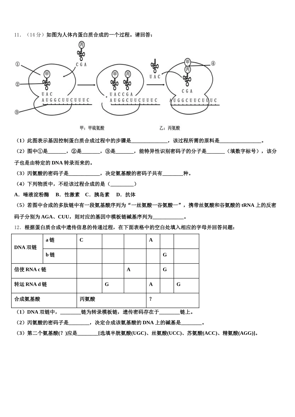 2025届怒江市重点中学高一下生物期末统考模拟试题含解析_第3页