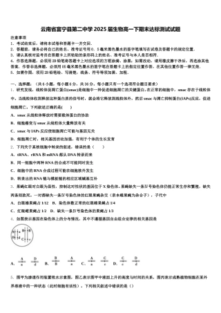 云南省富宁县第二中学2025届生物高一下期末达标测试试题含解析