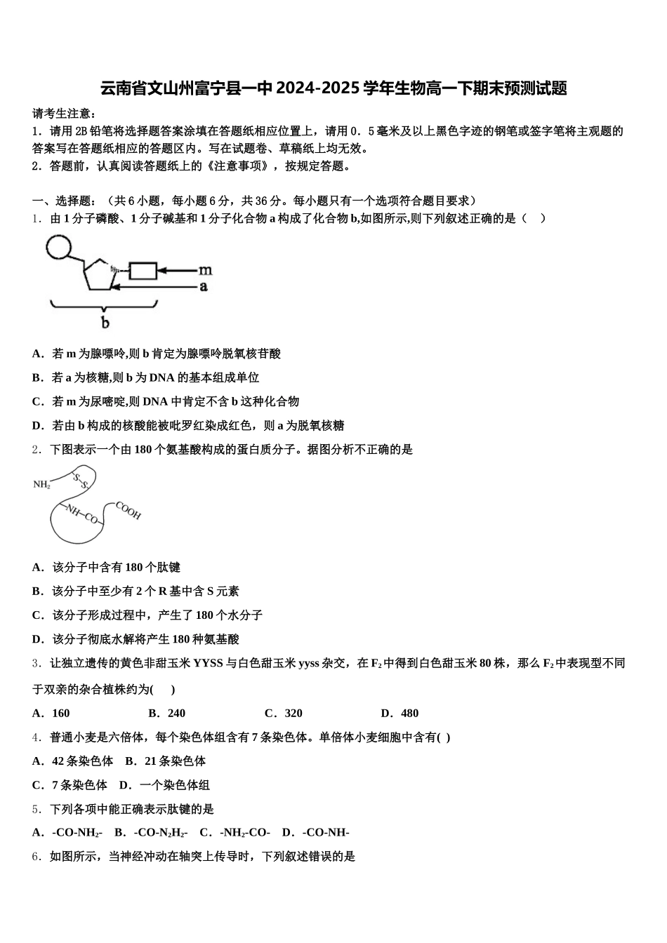 云南省文山州富宁县一中2024-2025学年生物高一下期末预测试题含解析_第1页