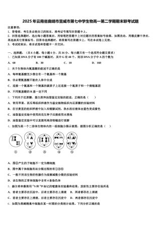 2025年云南省曲靖市宣威市第七中学生物高一第二学期期末联考试题含解析