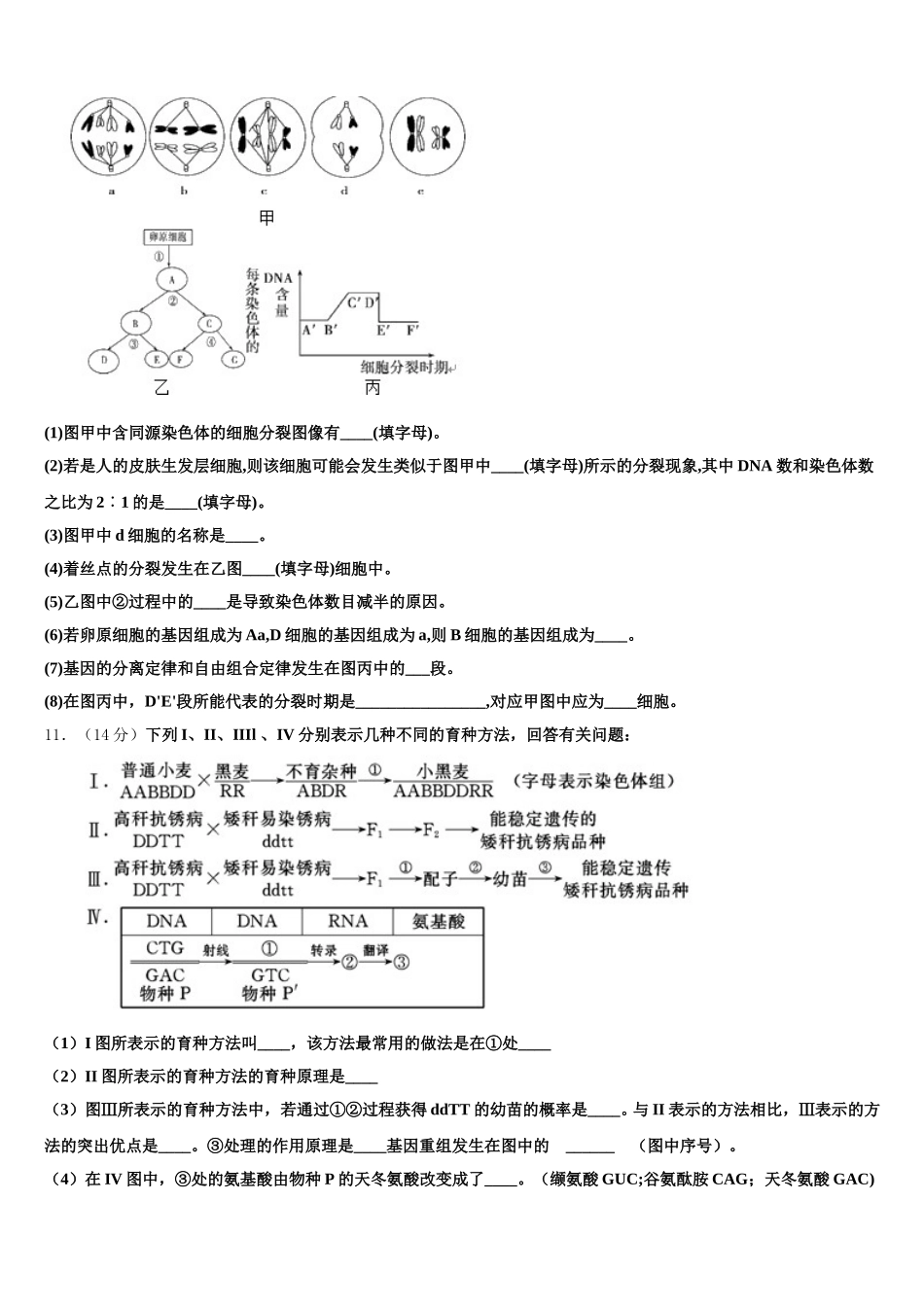 云南省陆良县2025年高一生物第二学期期末检测试题含解析_第3页