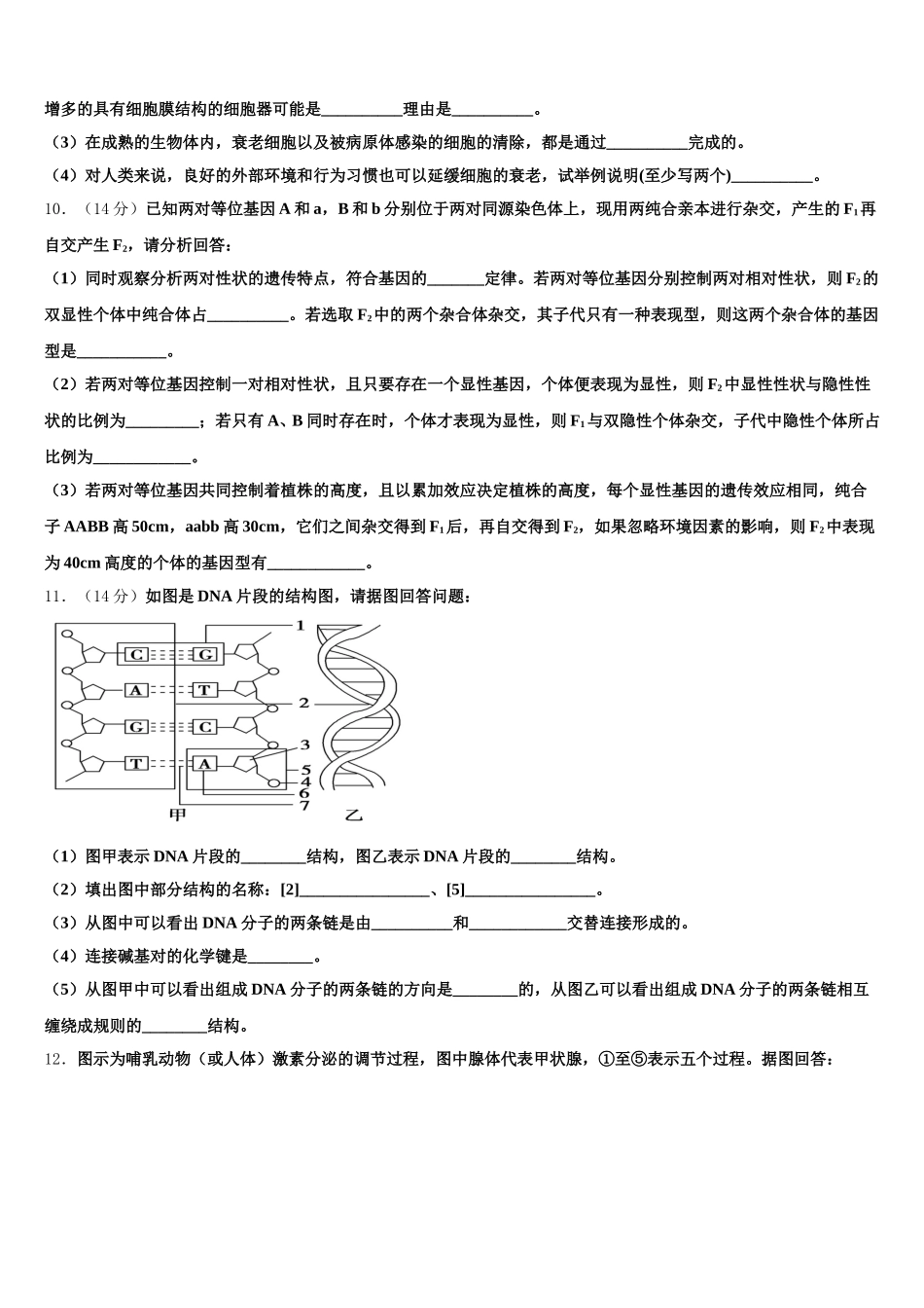 2025届云南省绿春县高级中学生物高一下期末质量检测模拟试题含解析_第3页