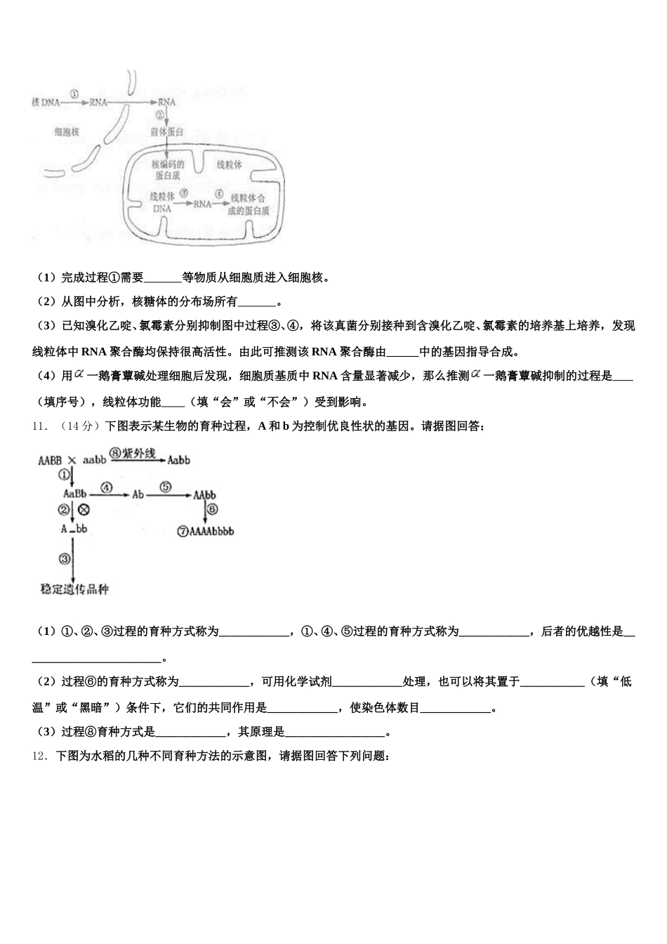 2025年云南省红河哈尼族彝族自治州泸西一中高一下生物期末综合测试试题含解析_第3页