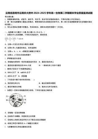 云南省昆明市云南农大附中2024-2025学年高一生物第二学期期末学业质量监测试题含解析