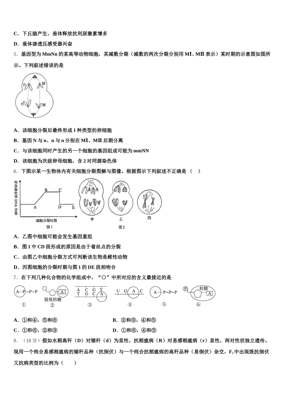 云南省玉溪市元江第一中学2024-2025学年生物高一下期末达标检测试题含解析_第2页