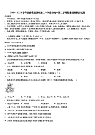 2024-2025学年云南省玉溪市第二中学生物高一第二学期期末经典模拟试题含解析
