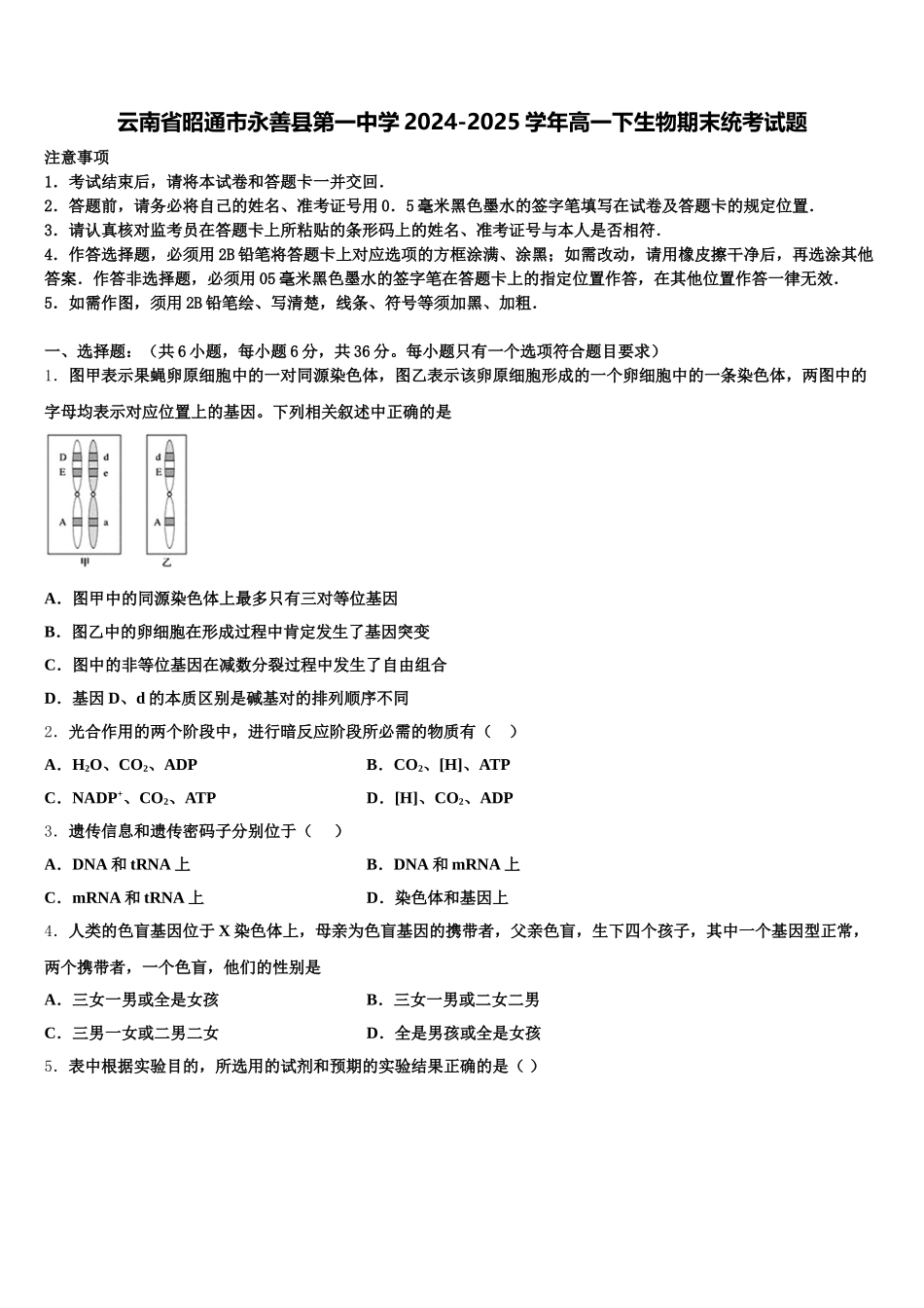 云南省昭通市永善县第一中学2024-2025学年高一下生物期末统考试题含解析_第1页