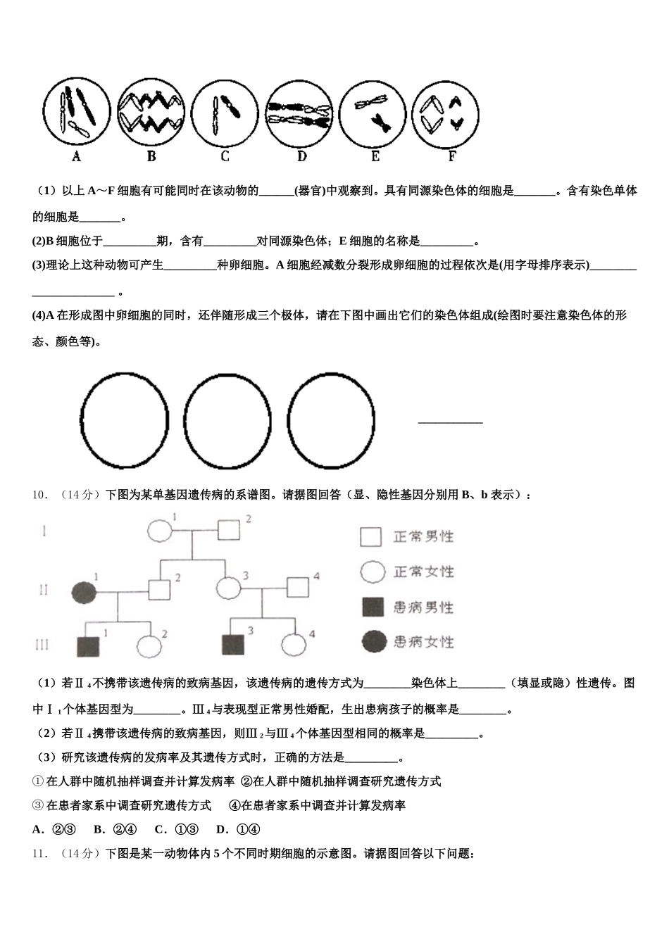 2024-2025学年云南省耿马县第一中学高一下生物期末质量跟踪监视试题含解析_第3页