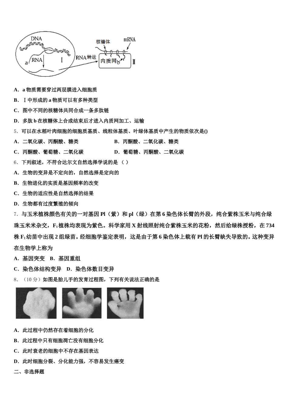 云南省大理新世纪中学2024-2025学年高一生物第二学期期末复习检测试题含解析_第2页
