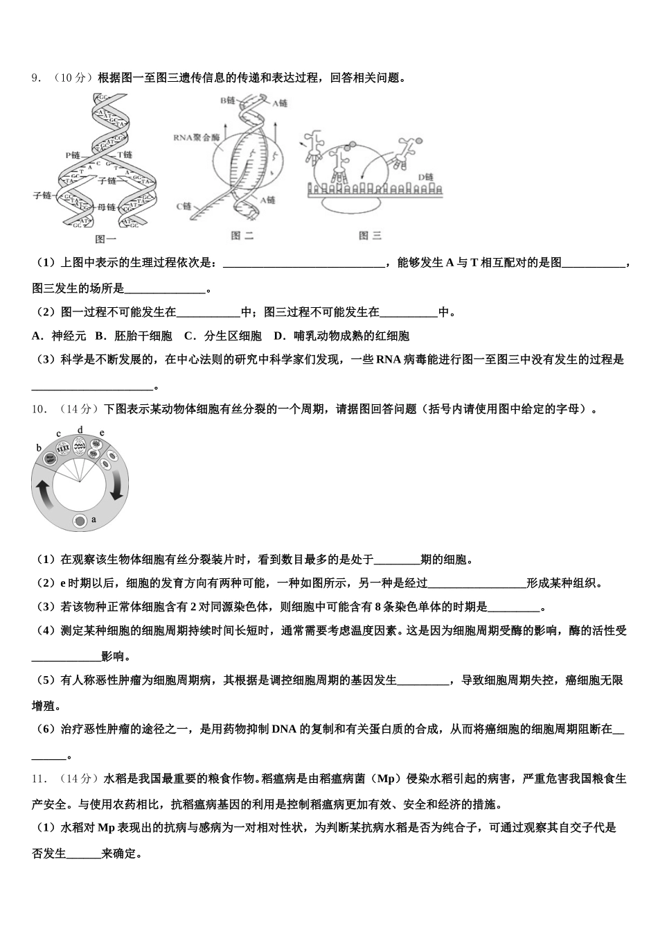 云南省大理新世纪中学2024-2025学年高一生物第二学期期末复习检测试题含解析_第3页
