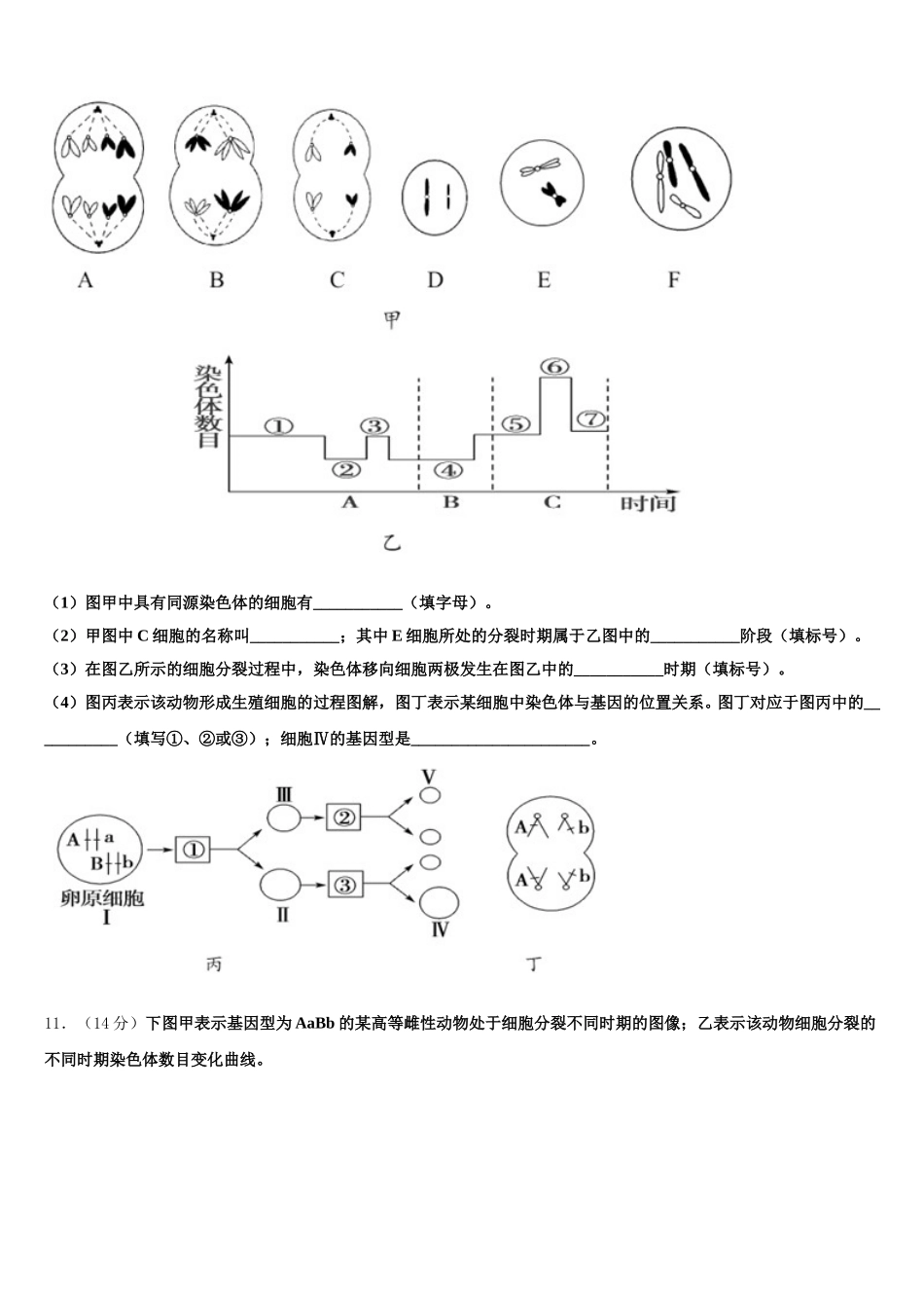 云南省楚雄州民族实验中学2024-2025学年高一生物第二学期期末联考试题含解析_第3页