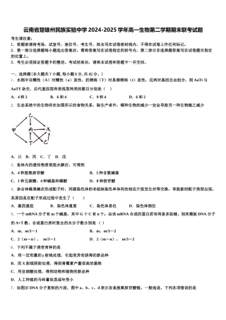 云南省楚雄州民族实验中学2024-2025学年高一生物第二学期期末联考试题含解析