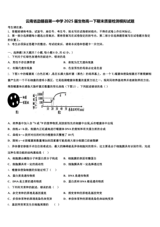 云南省勐腊县第一中学2025届生物高一下期末质量检测模拟试题含解析